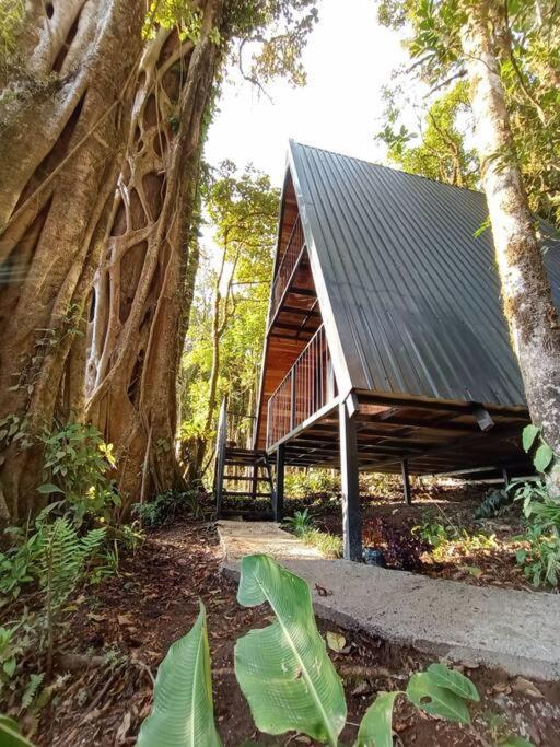 Casa Del Arbol Villa Monteverde ภายนอก รูปภาพ