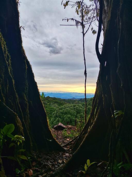 Casa Del Arbol Villa Monteverde ภายนอก รูปภาพ