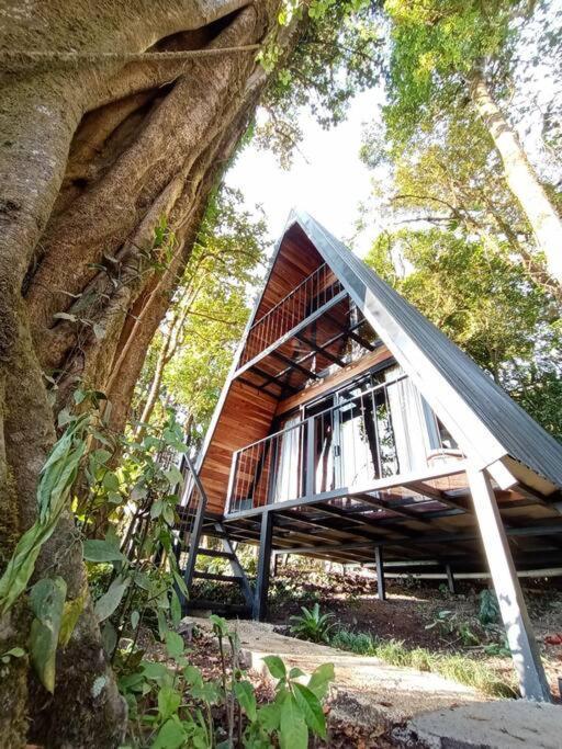 Casa Del Arbol Villa Monteverde ภายนอก รูปภาพ